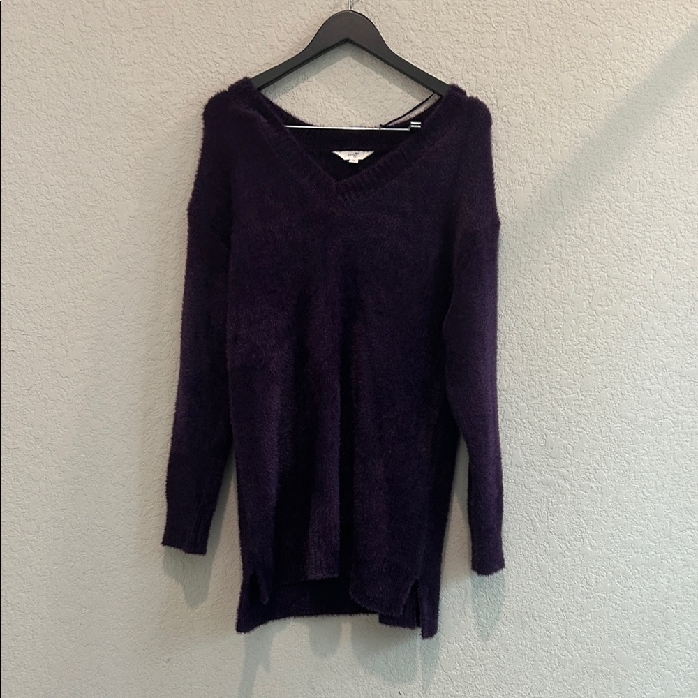 Terra & Sky Deep Purple V-Neck Sweater